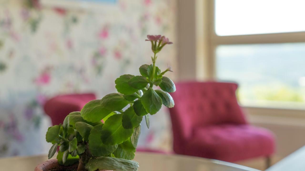 Le Petit Nid*** Villa Amance  Ngoại thất bức ảnh